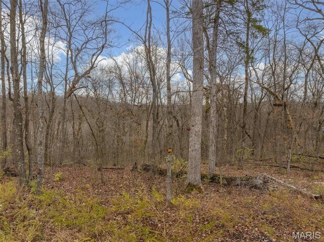 2802 Tyrol Ridge Dr, Innsbrook, MO 63390