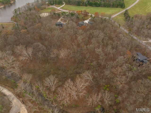 2802 Tyrol Ridge Dr, Innsbrook, MO 63390