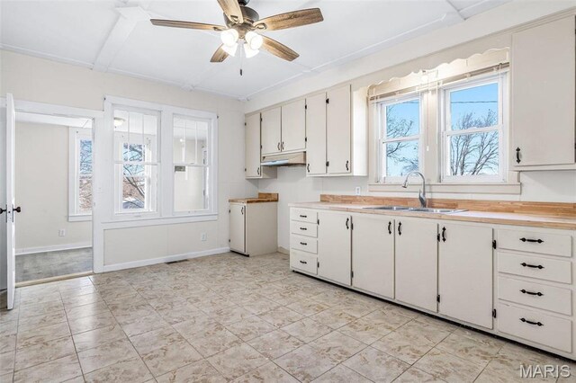 12449 Quarry Town Rd, Saint Genevieve, MO 63670 - kitchen featuring a sink, light countertops, a ceiling fan, and baseboards