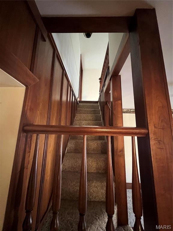 315 E Madison St, Paris, MO 65275 - stairs with carpet floors