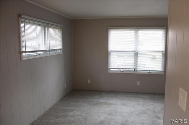 419 W Main St, Duquoin, IL 62832 - carpeted spare room featuring crown molding and wooden walls