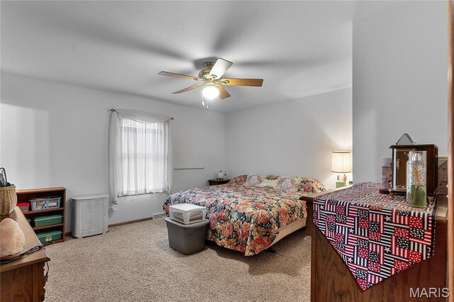 1001 Harry Ave, Perryville, MO 63775 - photo 14