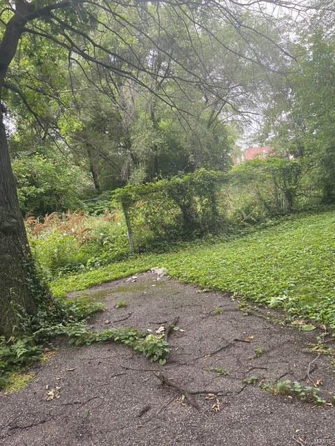 view of yard with a wooded view