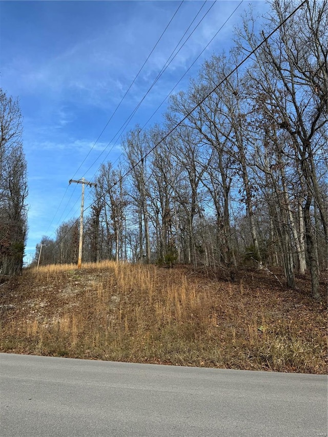 0 Texas Rd, Saint Robert, MO 65584