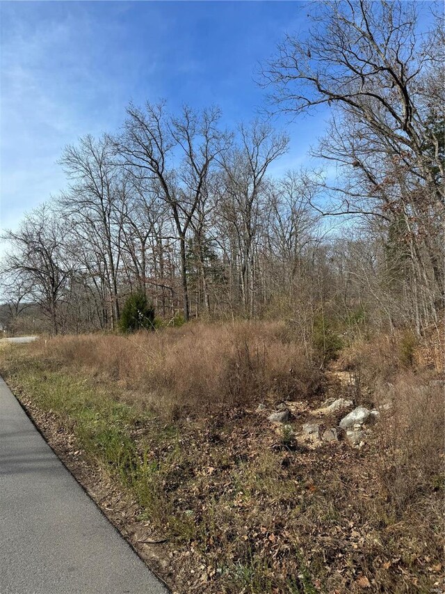 0 Texas Rd, Saint Robert, MO 65584