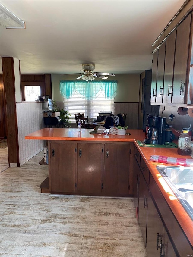 kitchen featuring light wood-type flooring, a ceiling fan, dark brown cabinetry, a wainscoted wall, and a sink