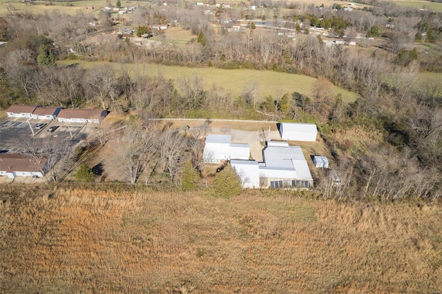 1728 Hitching Post Ln, Farmington, MO 63640 - aerial view of property's location