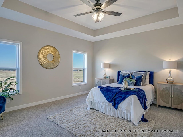 428 Hayden Dr, Waterloo, IL 62298 - bedroom with carpet flooring, baseboards, and a tray ceiling