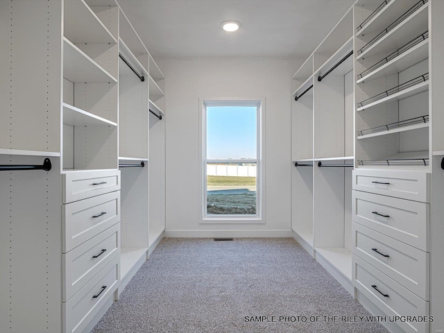 428 Hayden Dr, Waterloo, IL 62298 - walk in closet featuring carpet floors