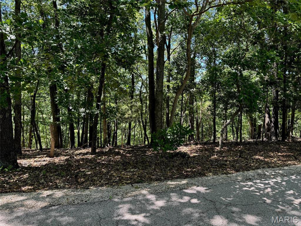 1561 Wolf Trail Rd, Wildwood, MO 63021 - photo 2
