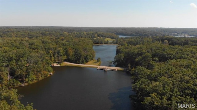 451 Foxfire Point Dr, Wright City, MO 63390 - view of property location with a forest and a large body of water
