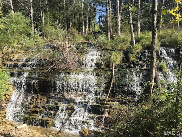 451 Foxfire Point Dr, Wright City, MO 63390 - view of nature