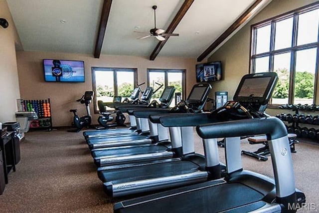 451 Foxfire Point Dr, Wright City, MO 63390 - workout area with a ceiling fan and carpet