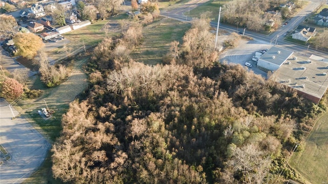 410 William St, Cape Girardeau, MO 63703