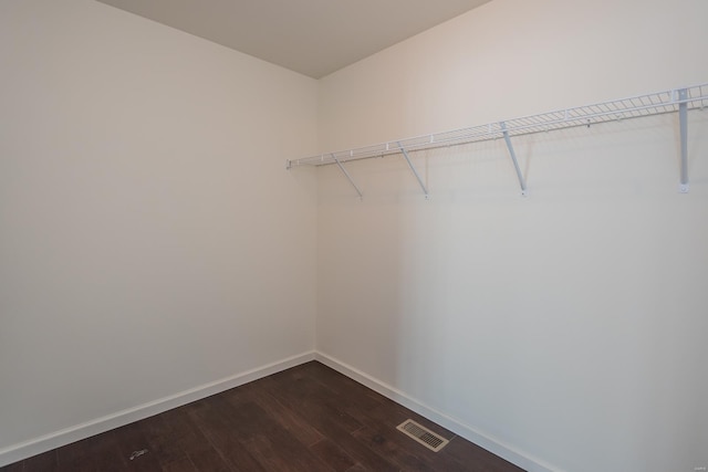 spacious closet featuring dark wood-style flooring
