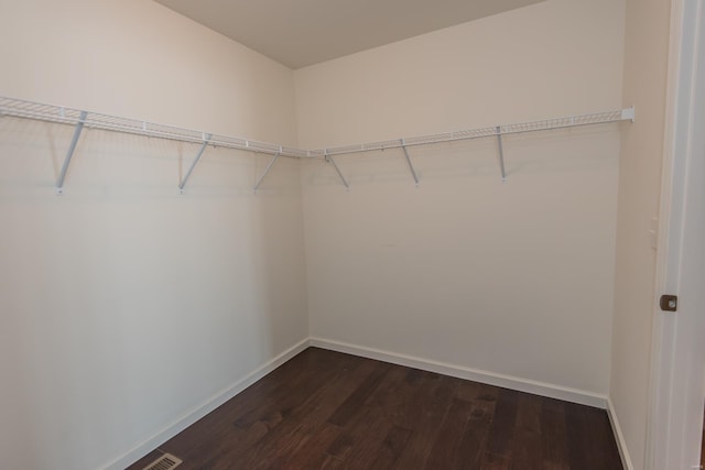 walk in closet with dark wood finished floors