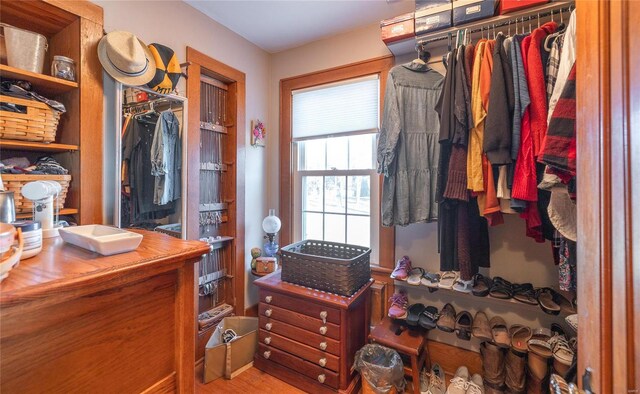 walk in closet featuring wood finished floors