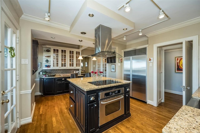 kitchen featuring appliances with stainless steel finishes, rail lighting, island exhaust hood, tasteful backsplash, and crown molding