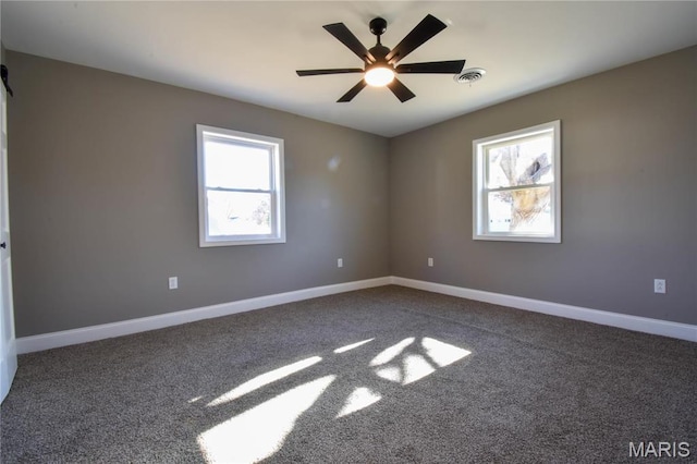 305 E Hauser St, Litchfield, IL 62056 - empty room with plenty of natural light, dark carpet, and baseboards