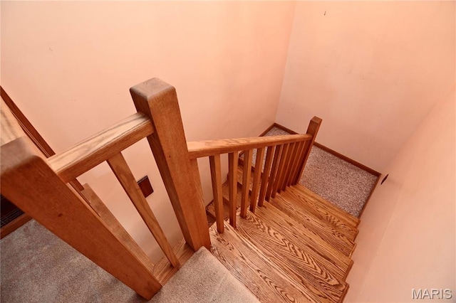 26 Gap Rd, Tunas, MO 65764 - stairs featuring carpet and baseboards