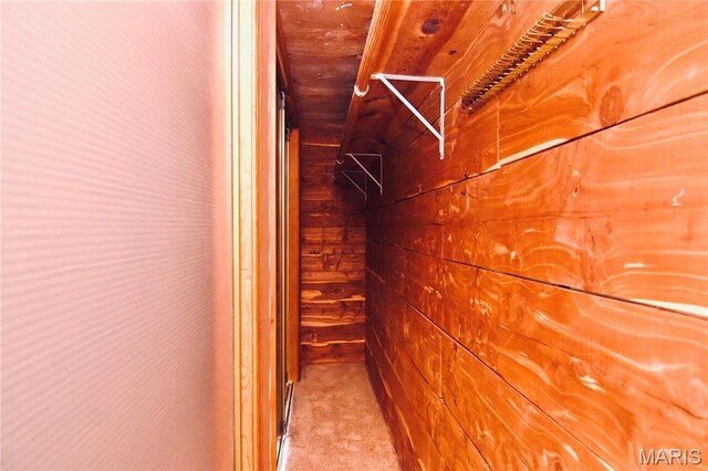 26 Gap Rd, Tunas, MO 65764 - walk in closet with carpet