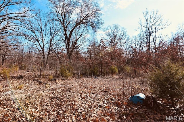 26 Gap Rd, Tunas, MO 65764 - view of local wilderness