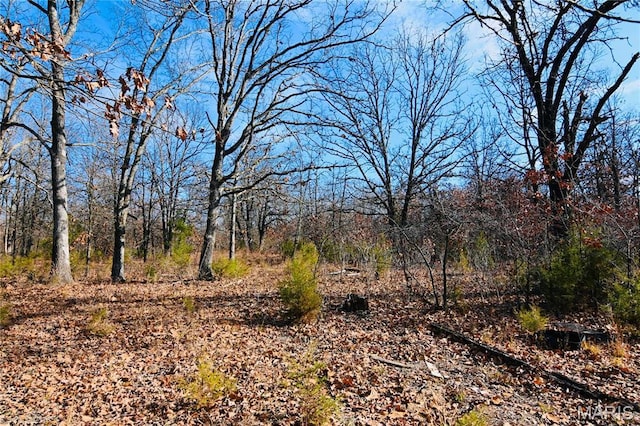 26 Gap Rd, Tunas, MO 65764 - view of local wilderness