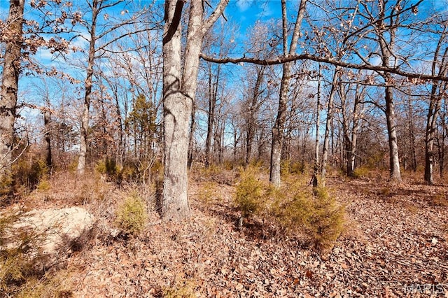 26 Gap Rd, Tunas, MO 65764 - view of undeveloped land