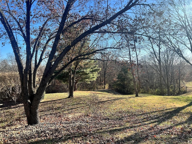 694 E 2735th Ave, Ramsey, IL 62080 - view of grassy yard featuring a forest view