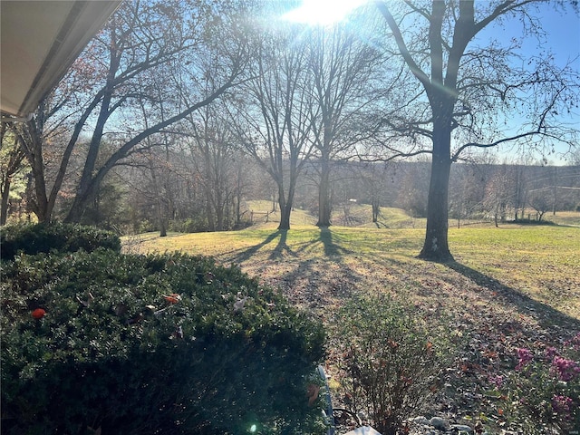 694 E 2735th Ave, Ramsey, IL 62080 - view of yard with a forest view