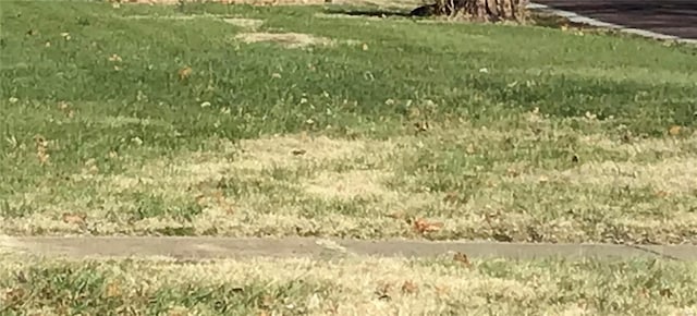 0 N 6th St, Pacific, MO 63069