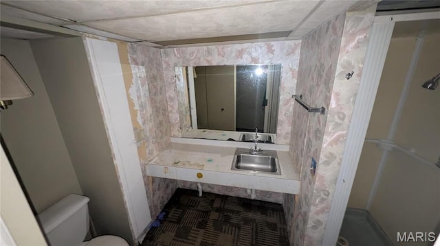 12532 Bellefontaine Rd, Saint Louis, MO 63138 - bathroom featuring a sink and toilet