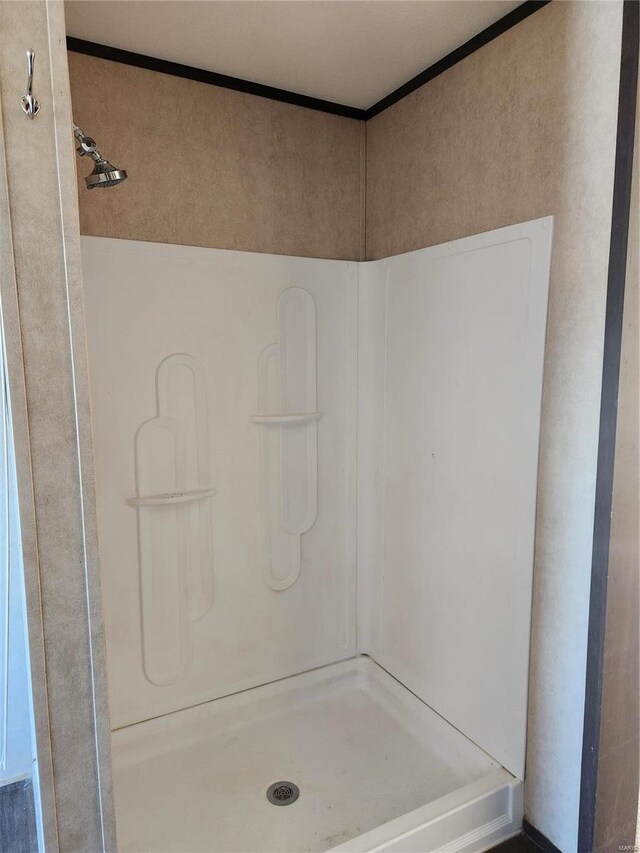 15005 Carthage Rd, Dixon, MO 65459 - full bathroom featuring a stall shower