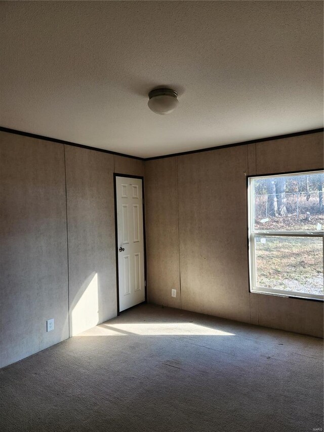 15005 Carthage Rd, Dixon, MO 65459 - empty room with carpet and a textured ceiling
