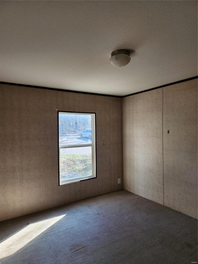 15005 Carthage Rd, Dixon, MO 65459 - spare room featuring carpet flooring and a textured ceiling