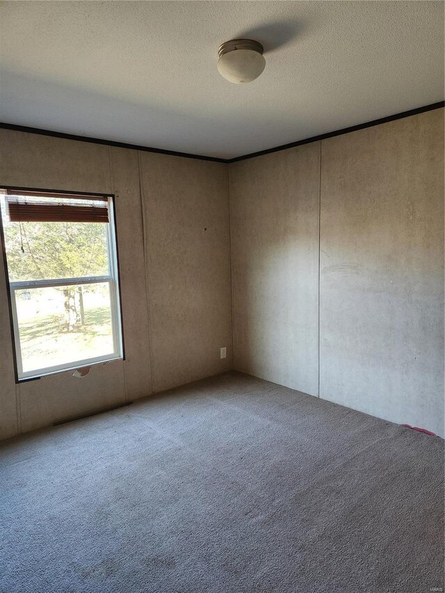 15005 Carthage Rd, Dixon, MO 65459 - spare room featuring carpet flooring and a textured ceiling
