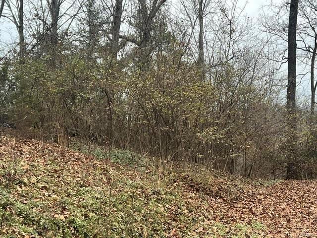 2425 Konert Rd, Fenton, MO 63026