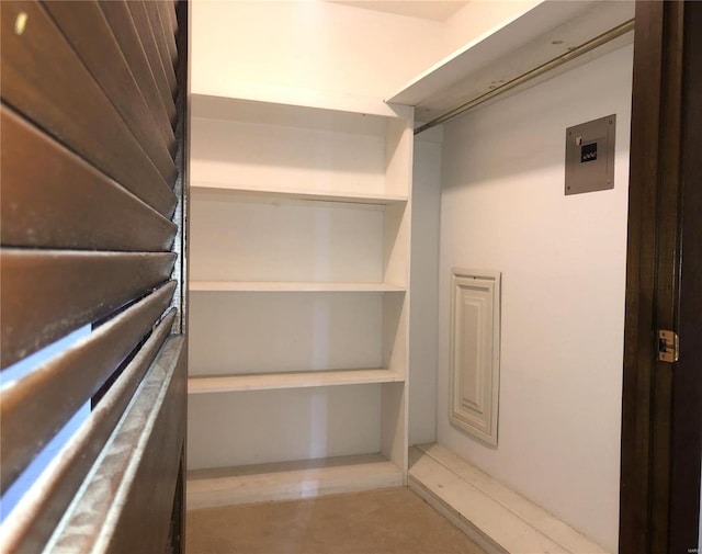 spacious closet with electric panel