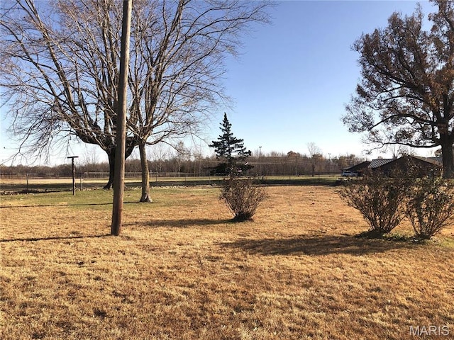 1210 N Prairie, Bloomfield, MO 63825 - view of yard