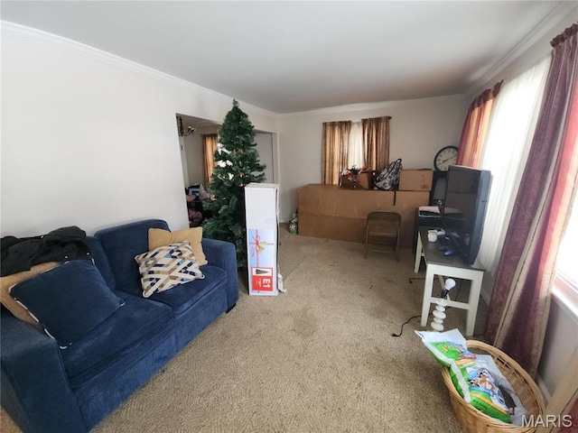 1238 Hoyt Dr, Saint Louis, MO 63137 - carpeted living area with healthy amount of natural light and crown molding