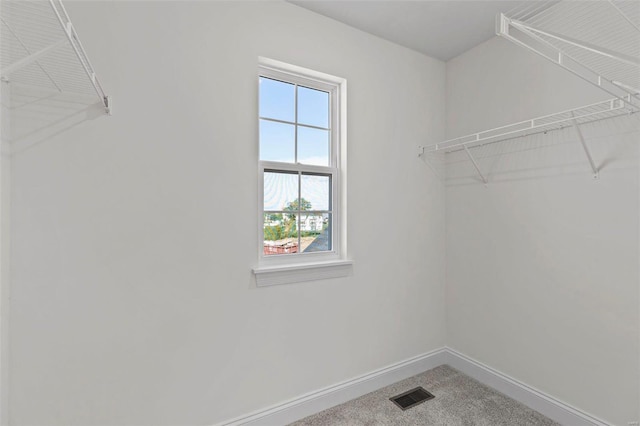 409 Fleming Cir, Wentzville, MO 63385 - view of spacious closet