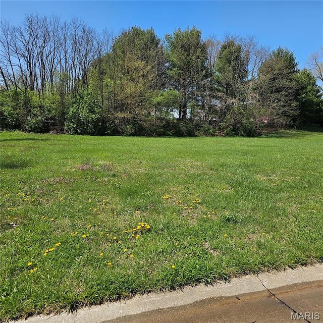 3711 Cabernet Ln, Edwardsville, IL 62025 - photo 3