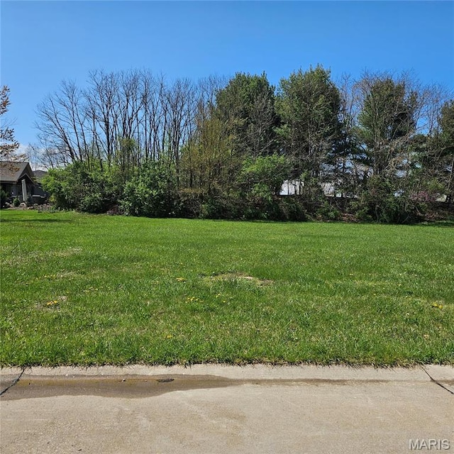 3711 Cabernet Ln, Edwardsville, IL 62025 - photo 4