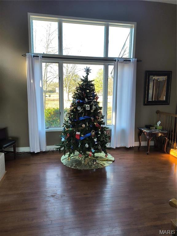 10740 Wilmena Ln, Rolla, MO 65401 - entryway with hardwood / wood-style floors and baseboards
