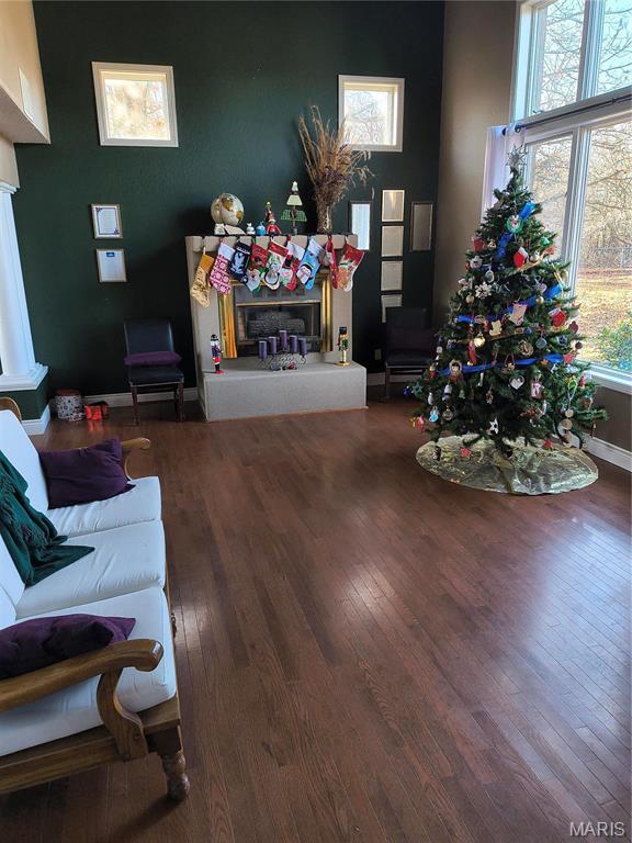10740 Wilmena Ln, Rolla, MO 65401 - living room featuring wood finished floors, baseboards, and a glass covered fireplace