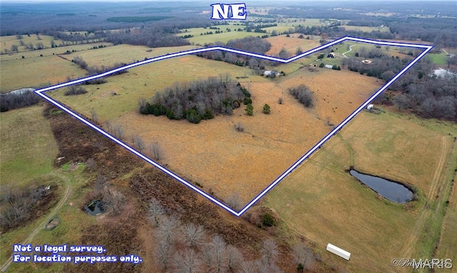 8685 State Route Ad, Dora, MO 65637 - photo 77