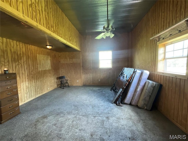 8685 State Route Ad, Dora, MO 65637 - photo 69
