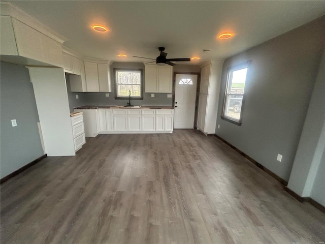 kitchen with a ceiling fan, white cabinetry, dark wood-type flooring, a sink, and baseboards