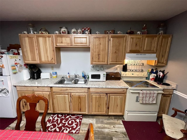 221 N 3rd St Unit 221, Louisiana, MO 63353 - kitchen featuring white appliances, a sink, under cabinet range hood, light wood-type flooring, and light countertops