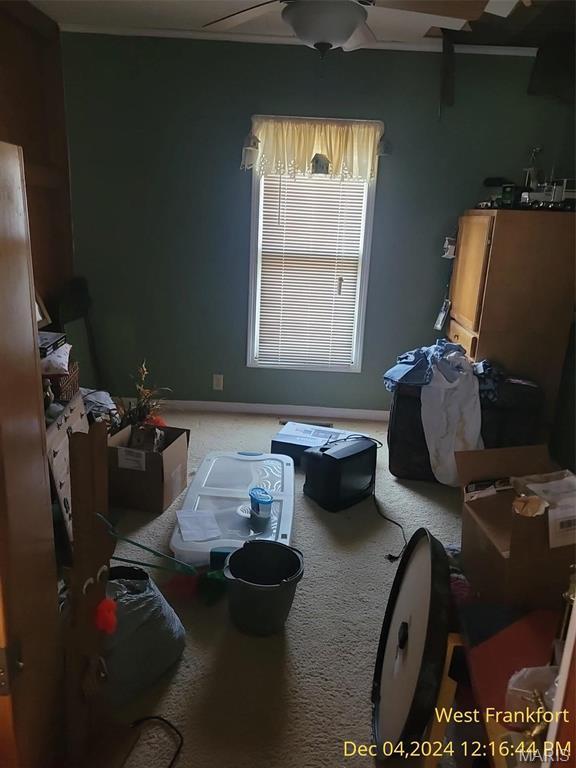 1415 E Oak St, West Frankfort, IL 62896 - bedroom featuring carpet, baseboards, and a ceiling fan